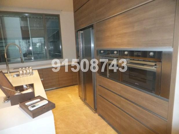 Leedon Residence (D10), Condominium #81845012